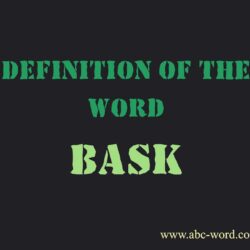 Bask definition